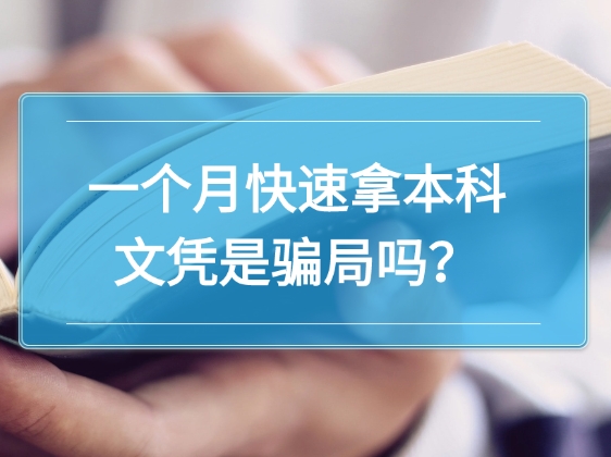本科文凭