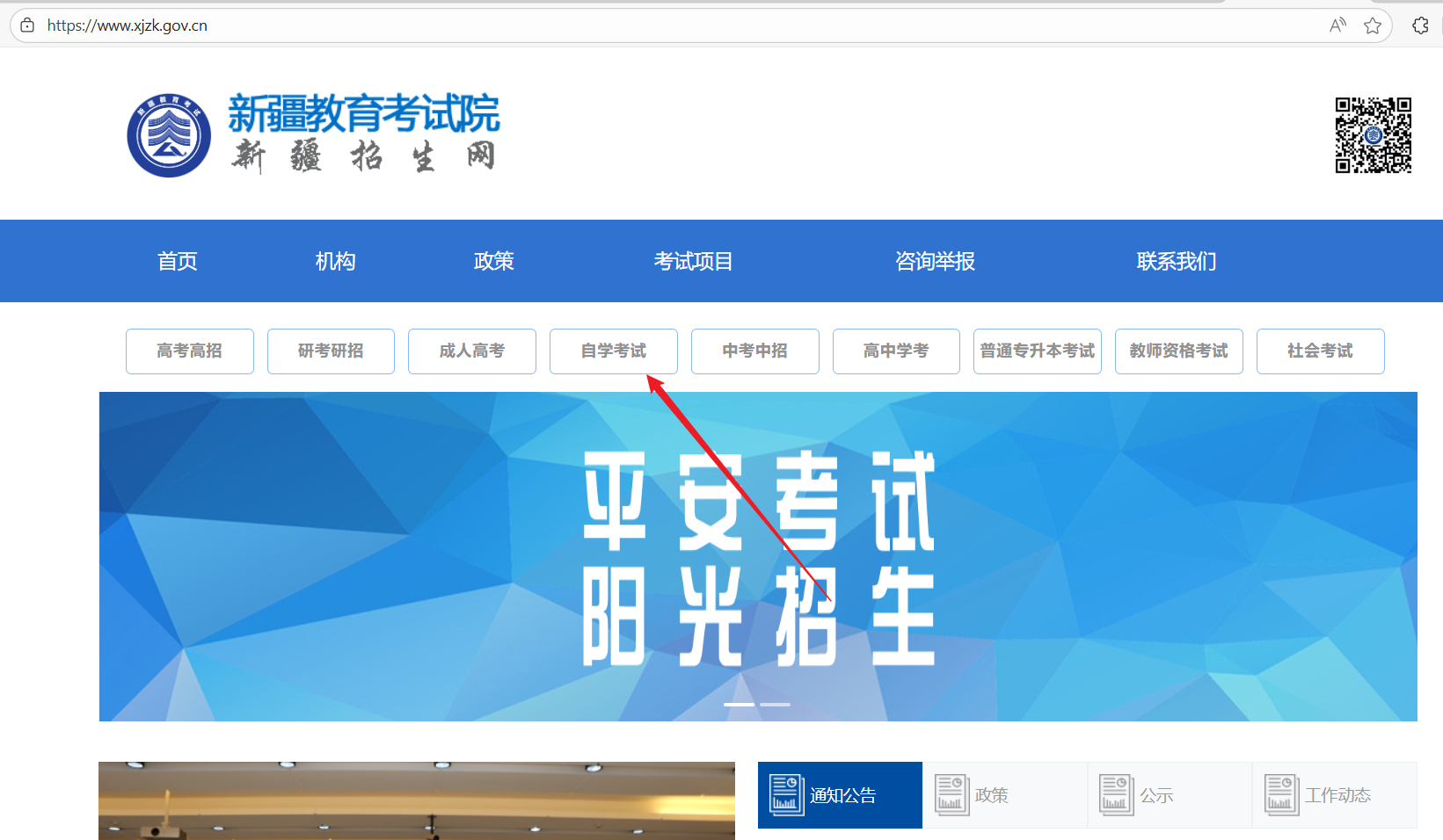 新疆教育考试院官网