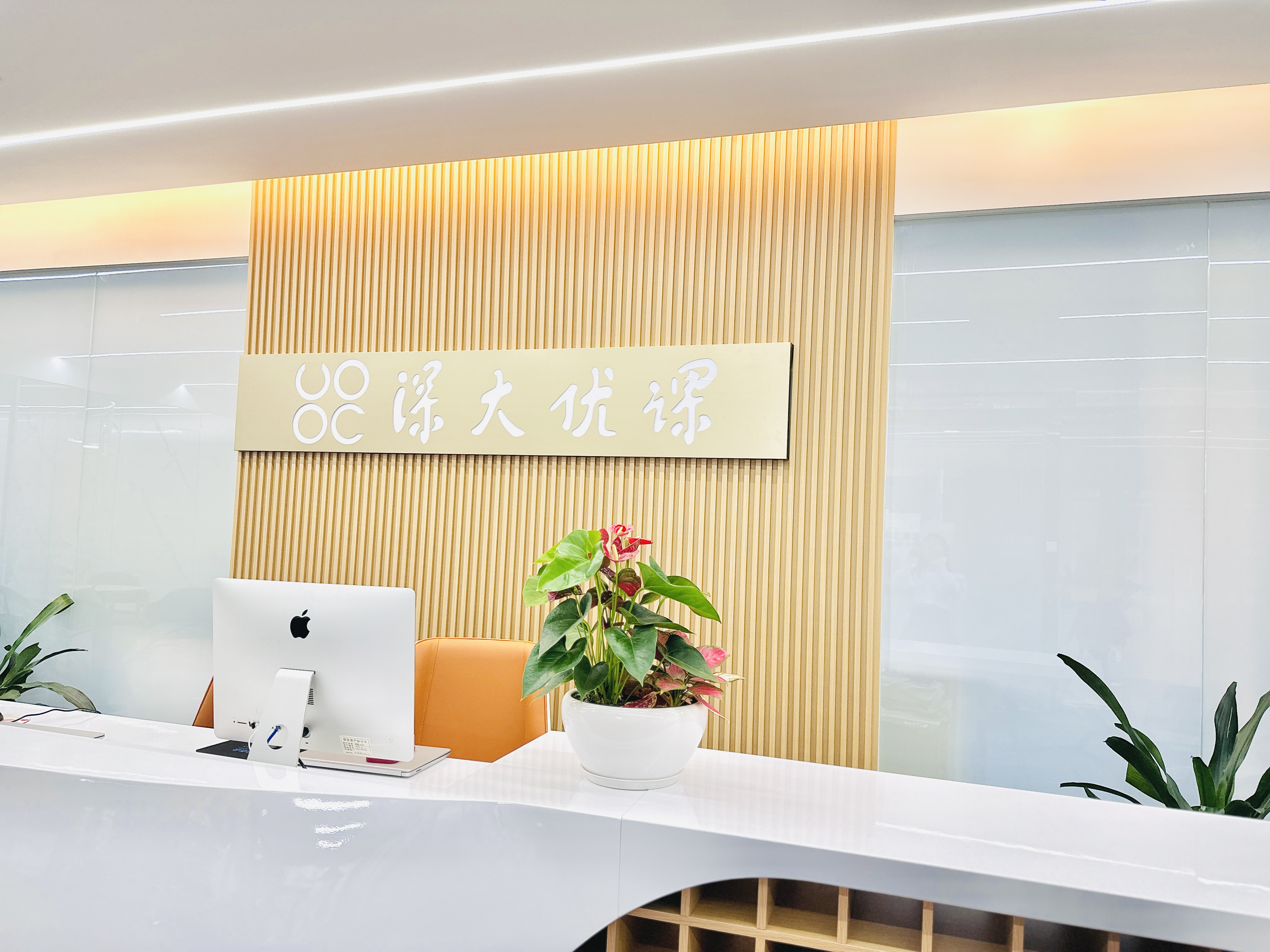 深大优课是正规机构吗