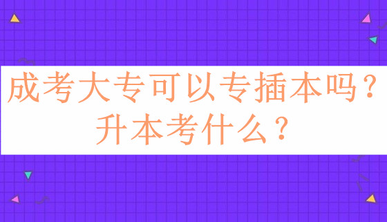 成考大专可以专插本吗